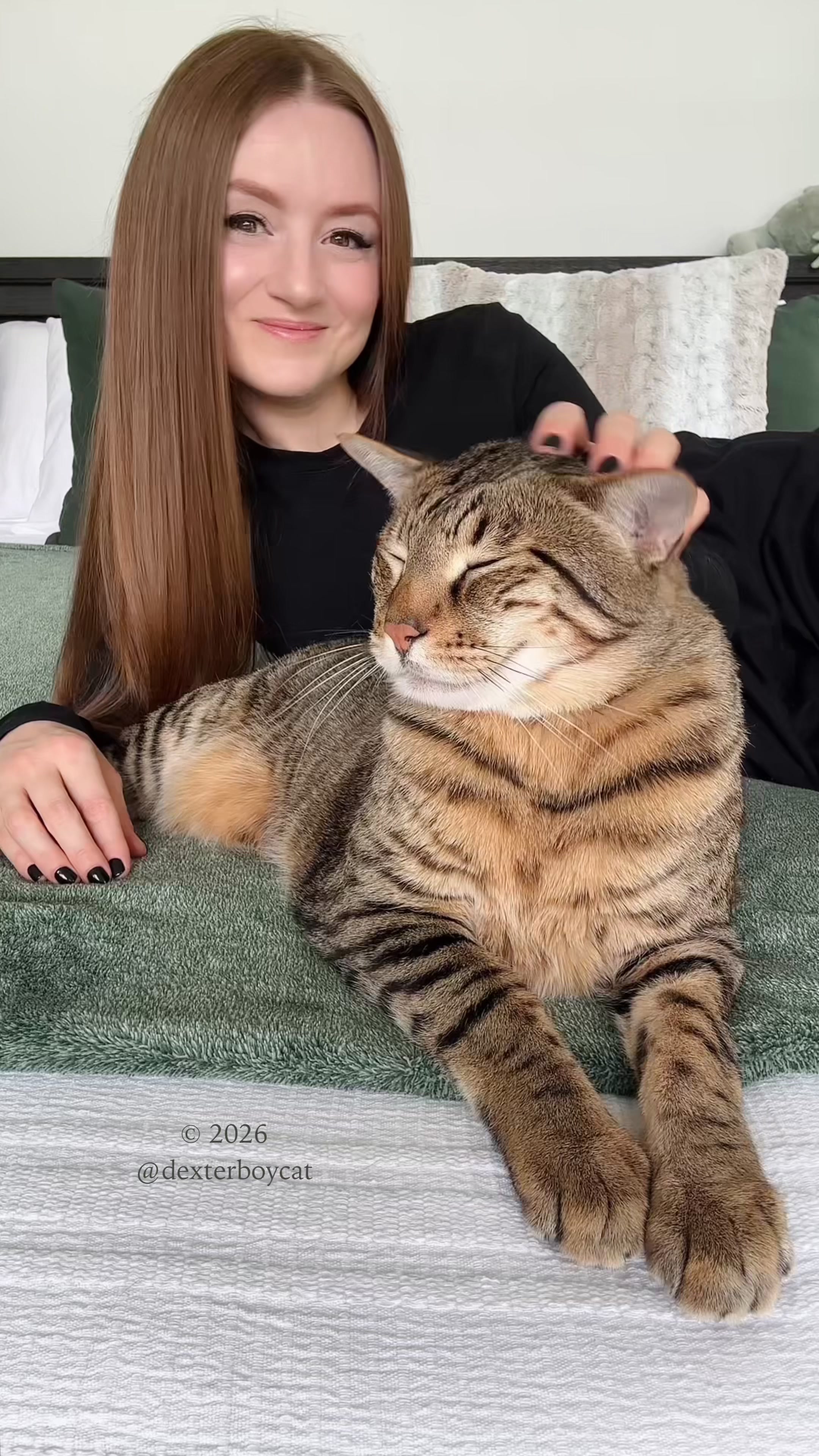 @dexterboycat 🐆♥️