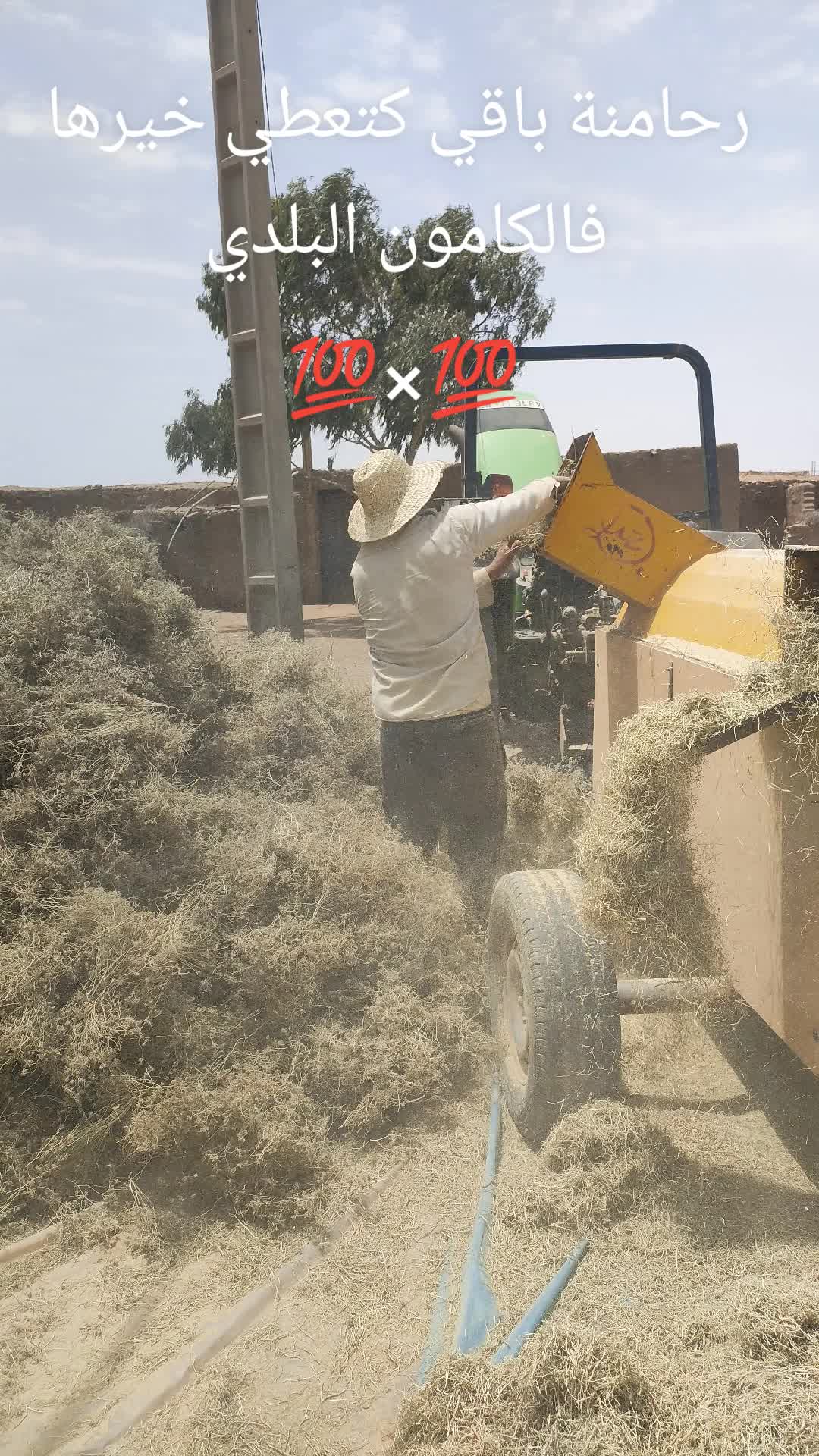 @chak chabani 🇮🇹⚓💰شكشباني