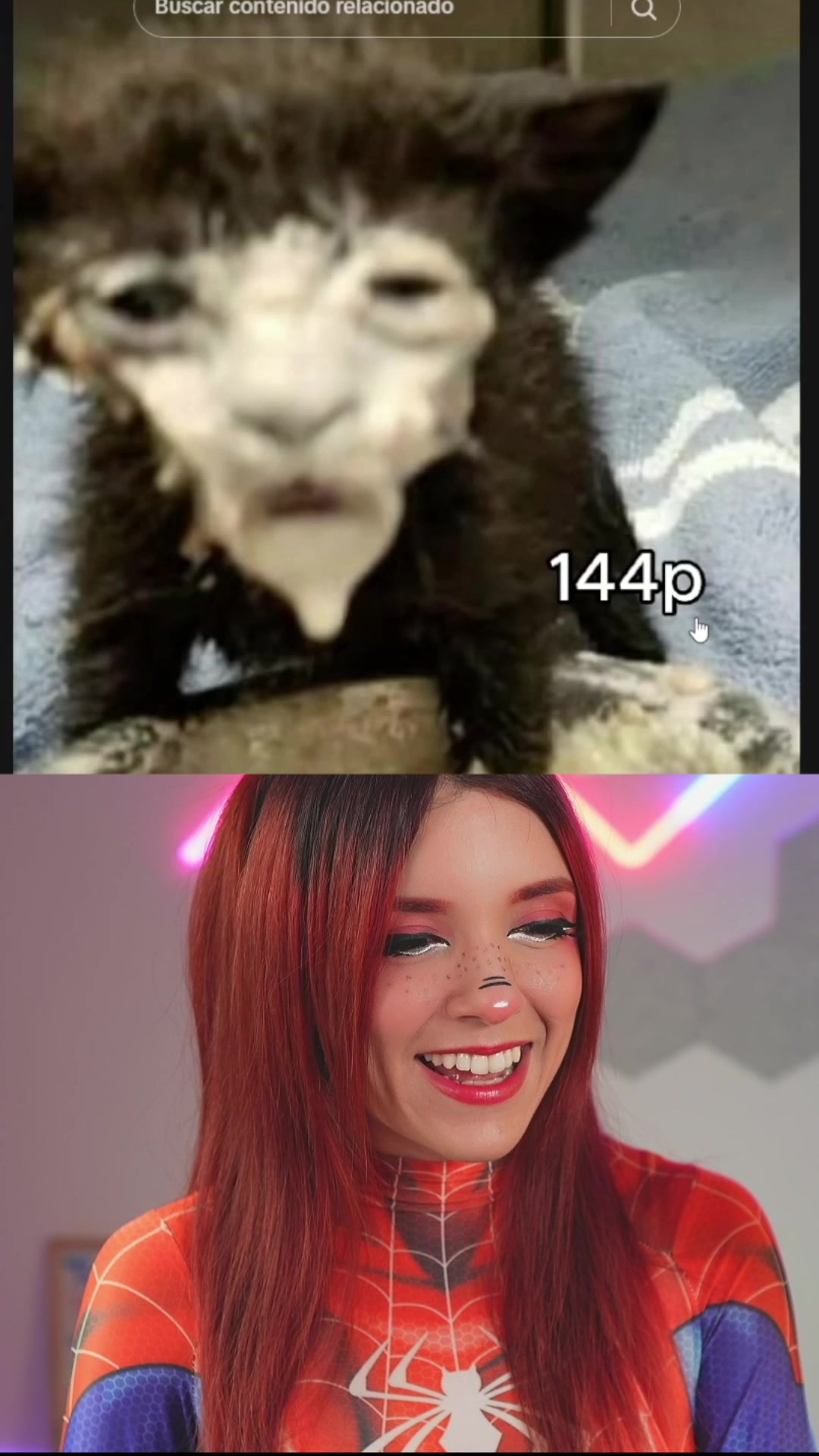 @Motfrais