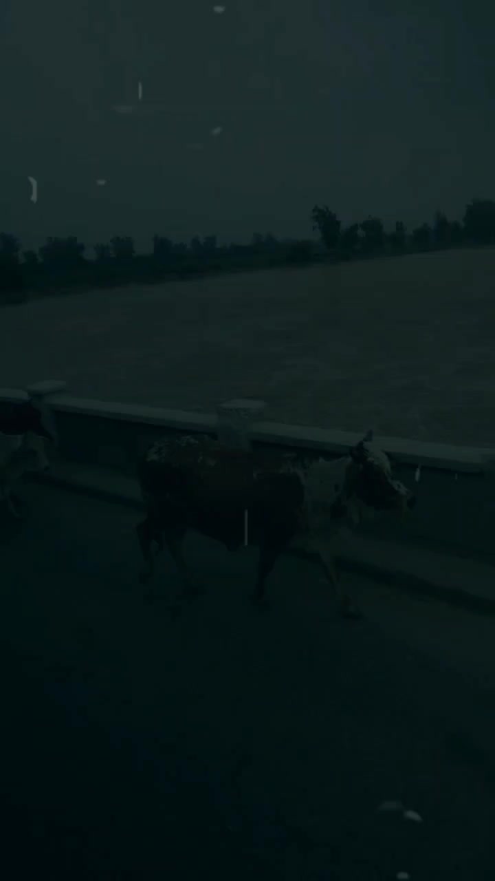 @رانا صفدر بھٹی (ننکانے آلہ)