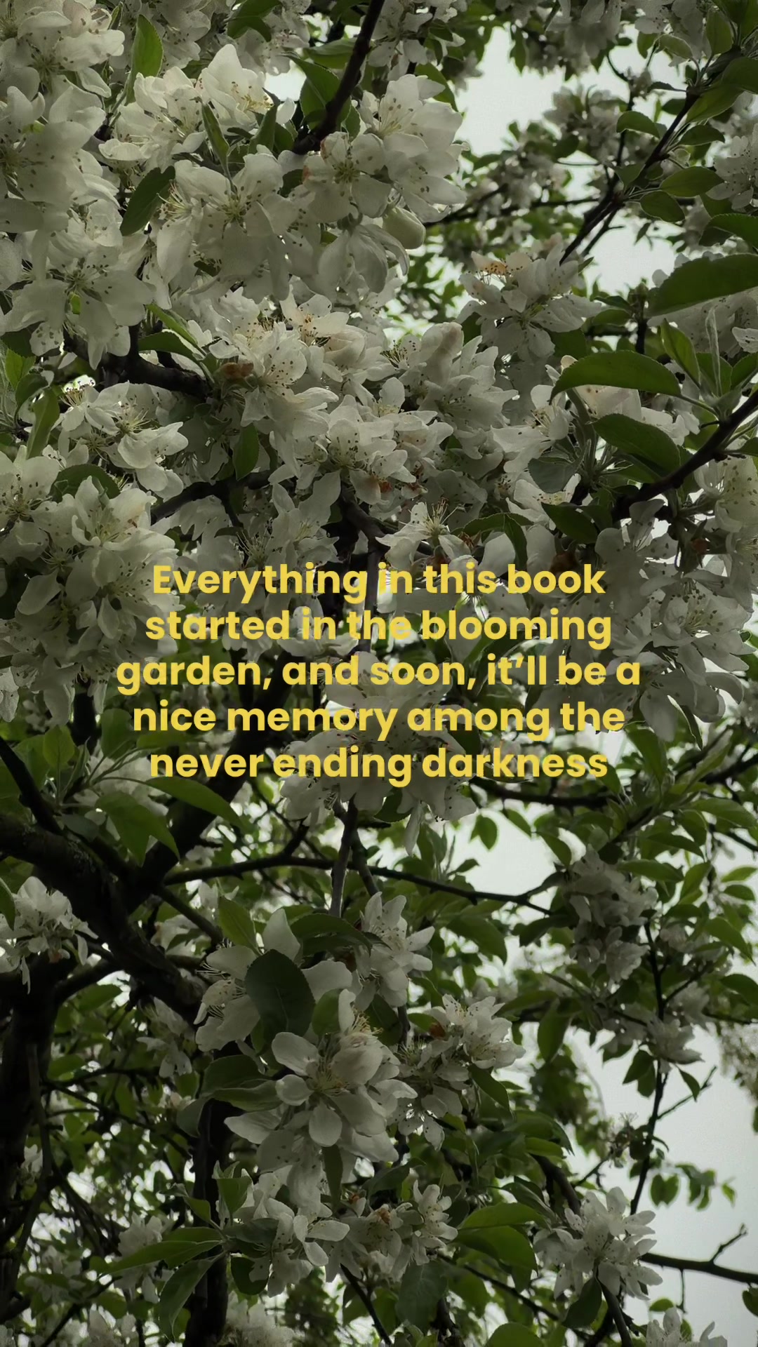 @Ksenia Maseeva 🫀 Author