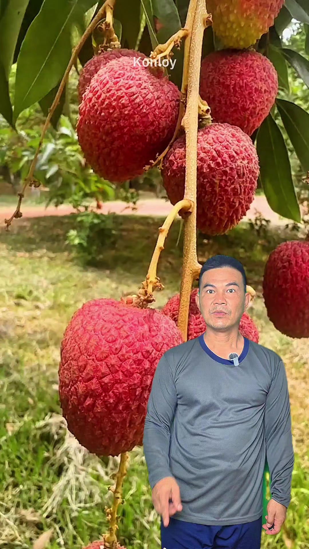 @Konloy