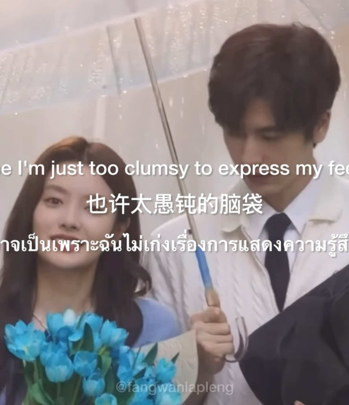 @ฟังวันละเพลง