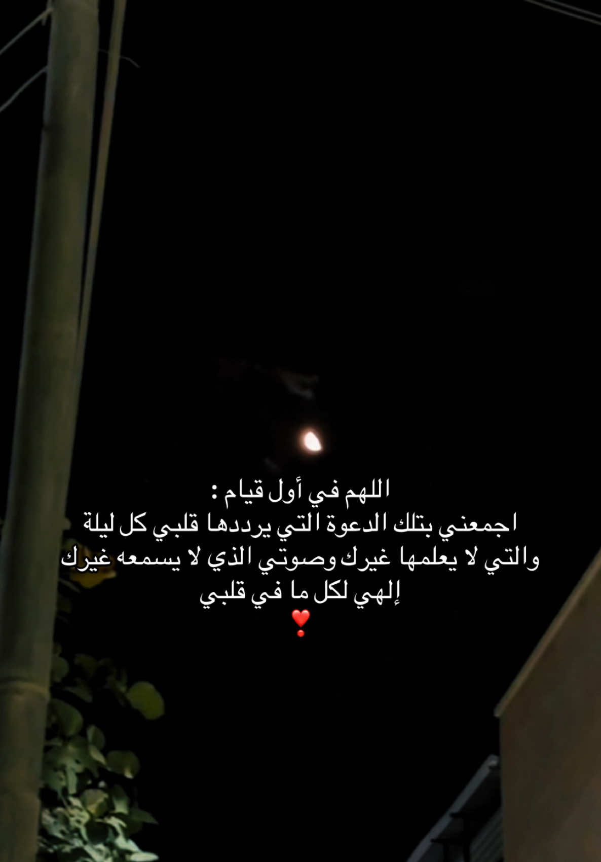 @هـاجــر🦋