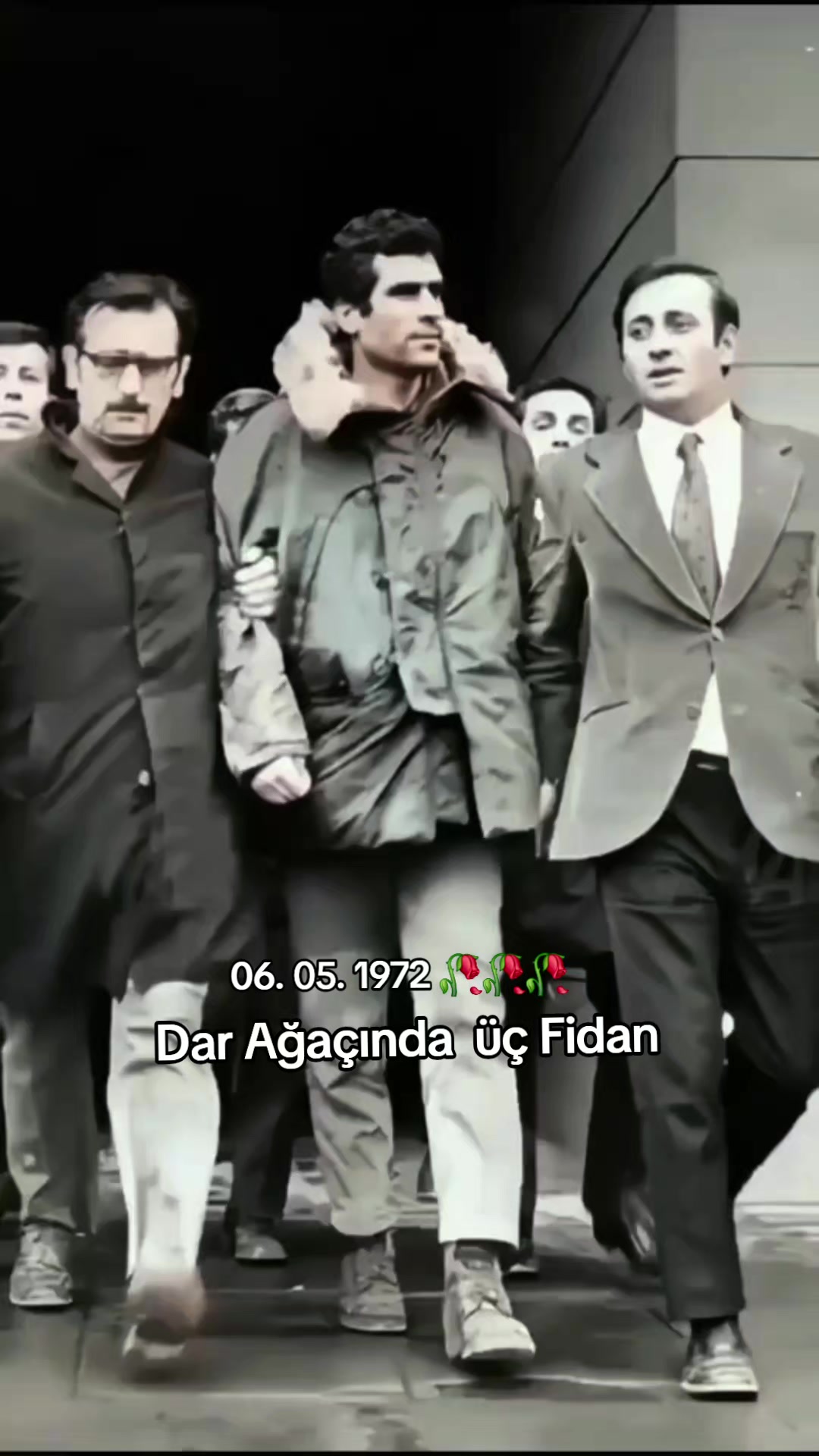 @ez gulê65