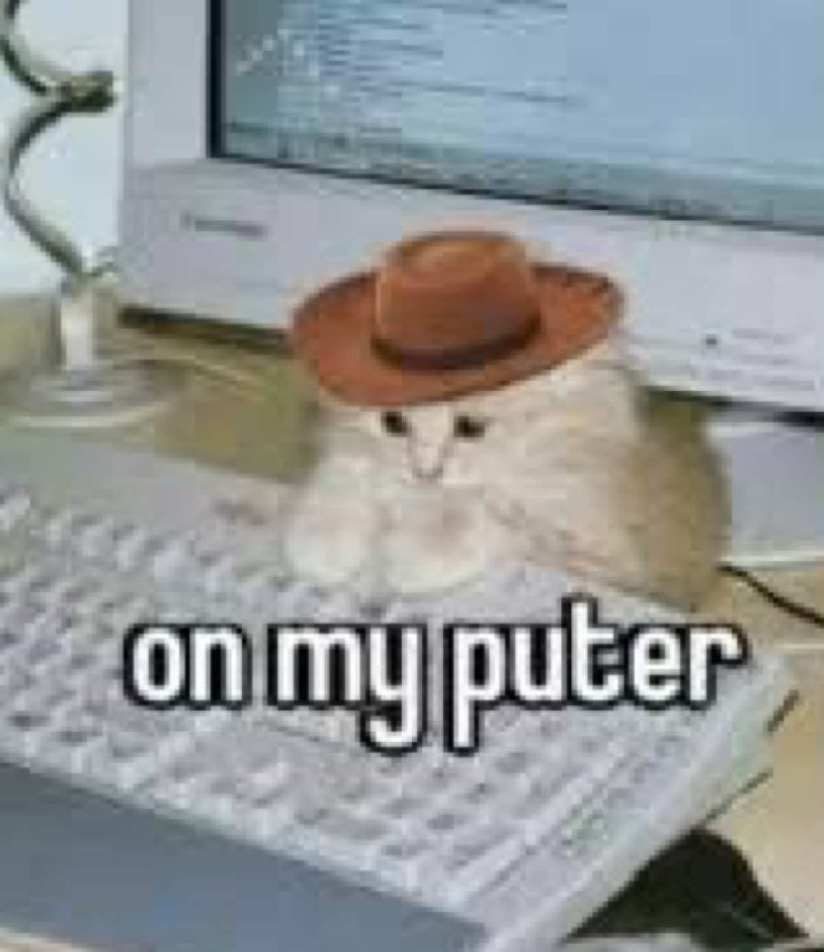 @𝐡𝐮𝐧𝐭𝐞𝐫 ˙𐃷˙