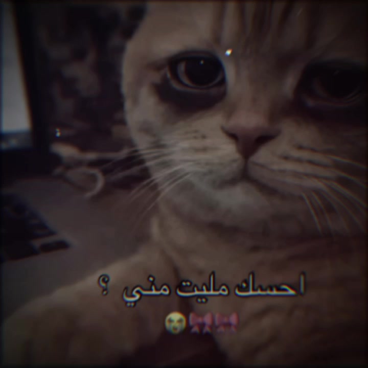 @الہَِ حمووشة|🖤؟.