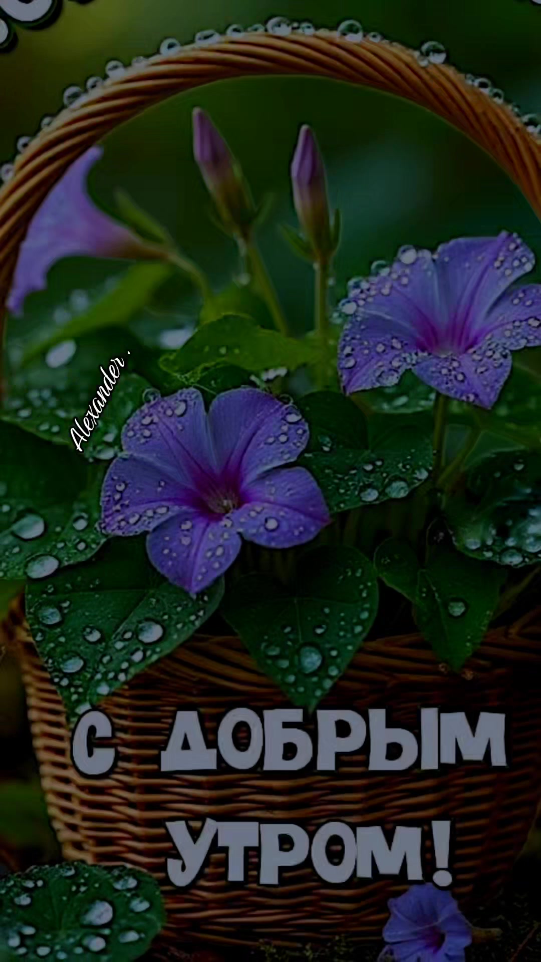 @Александр