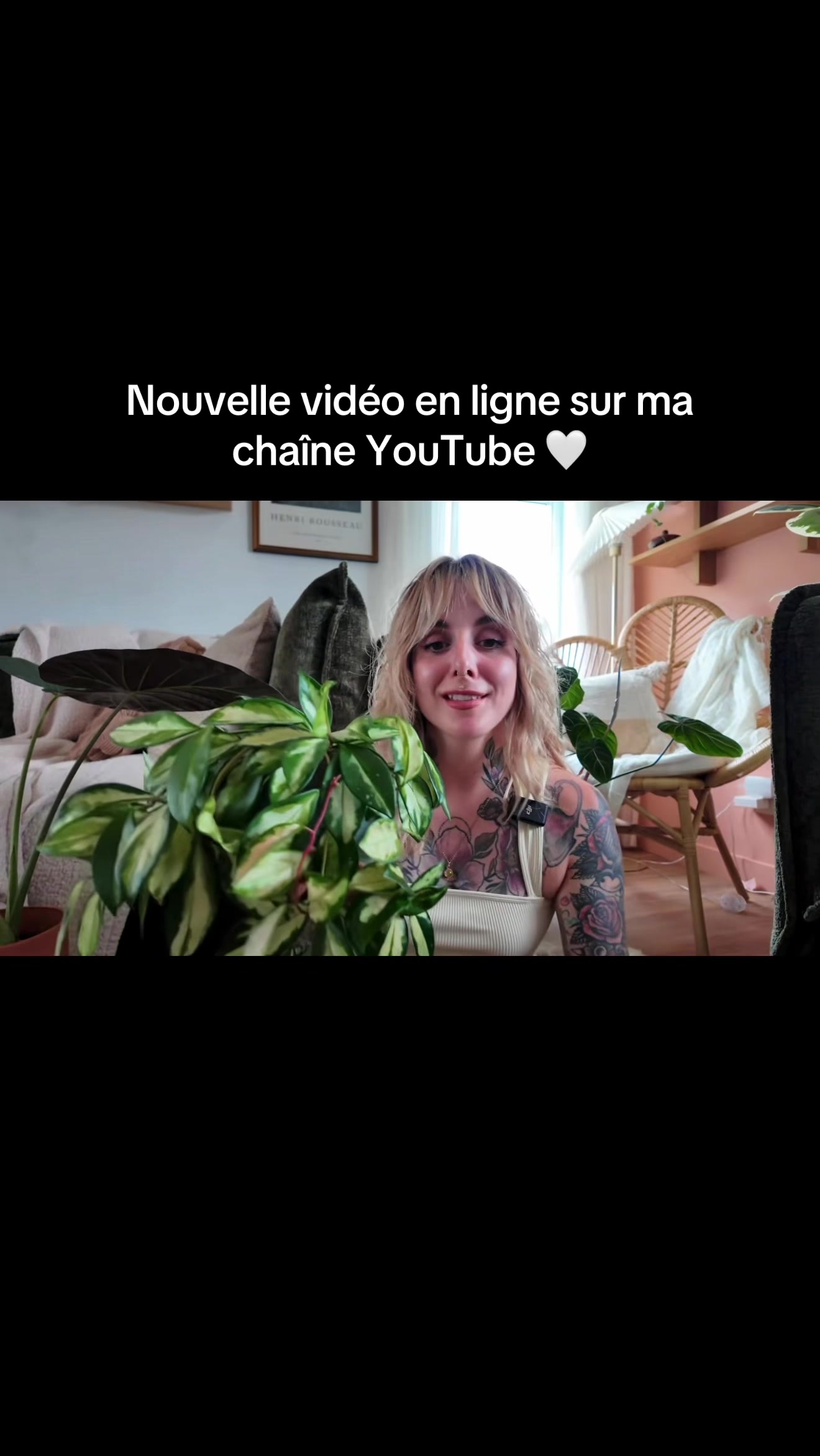 @Laura pigeon