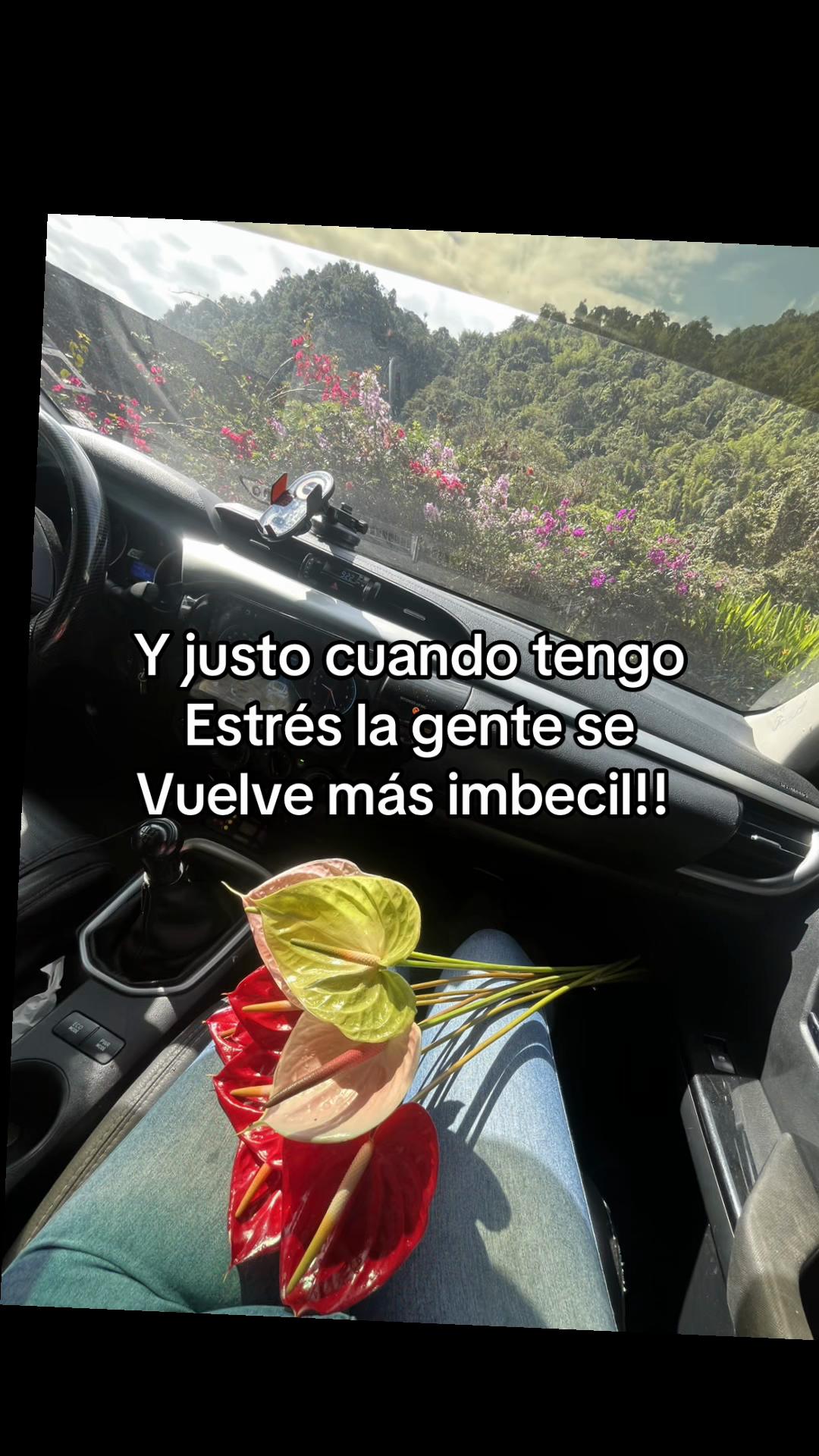 @May Quiroz Tello •Te sigue