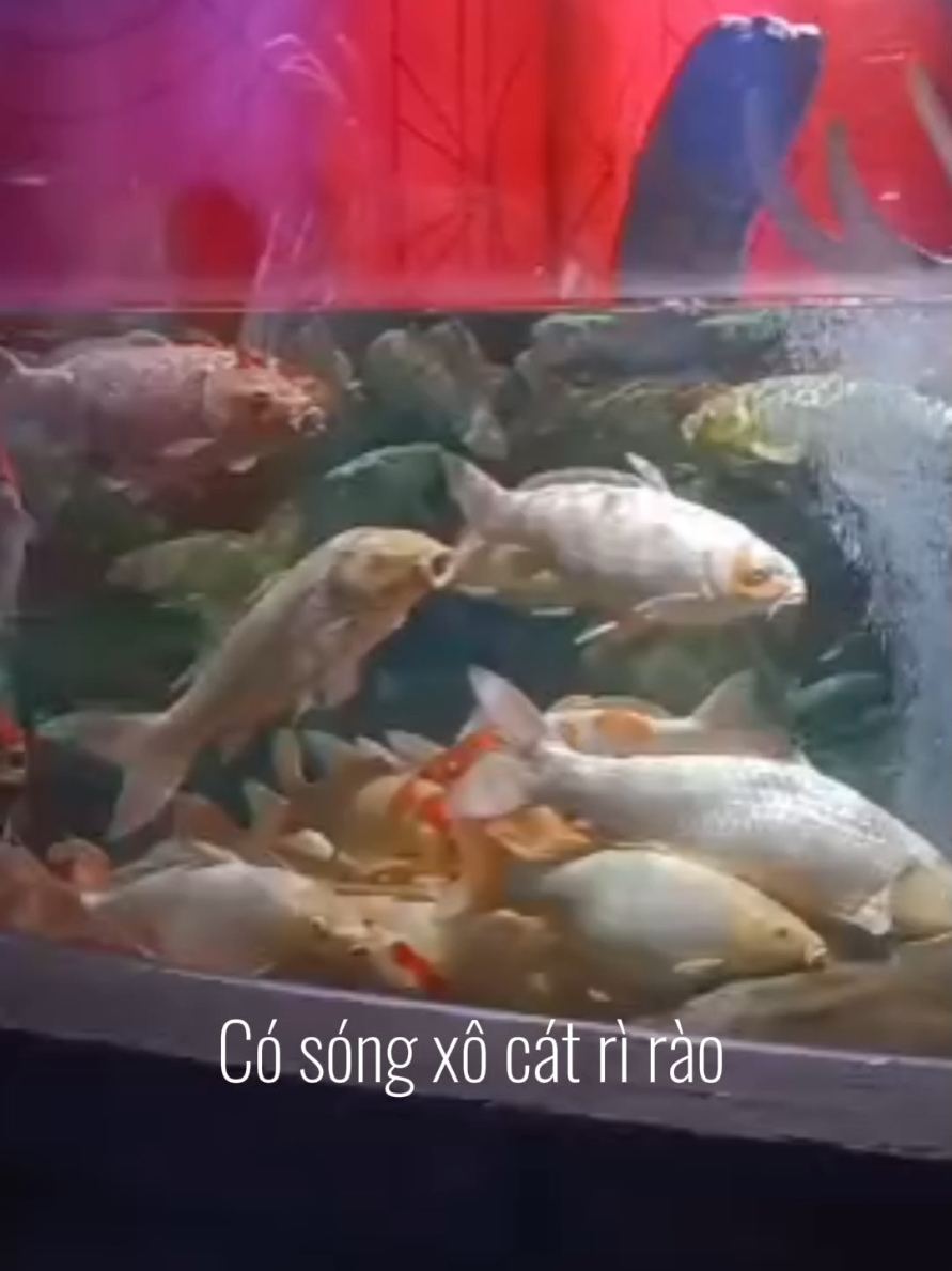 @Vân Nguyễn