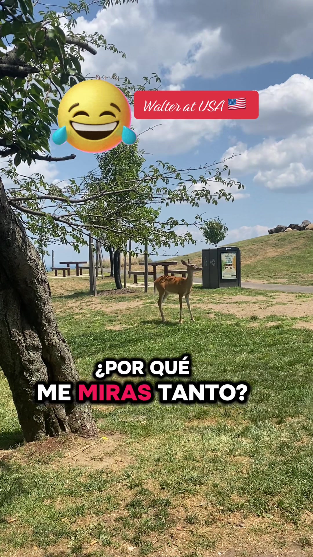 @Walter Valverde