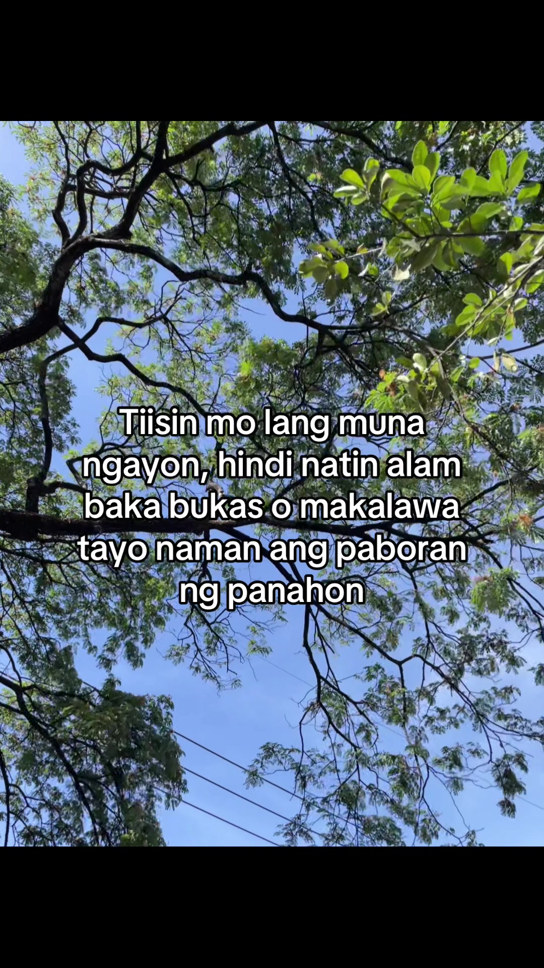 @chann.jpg