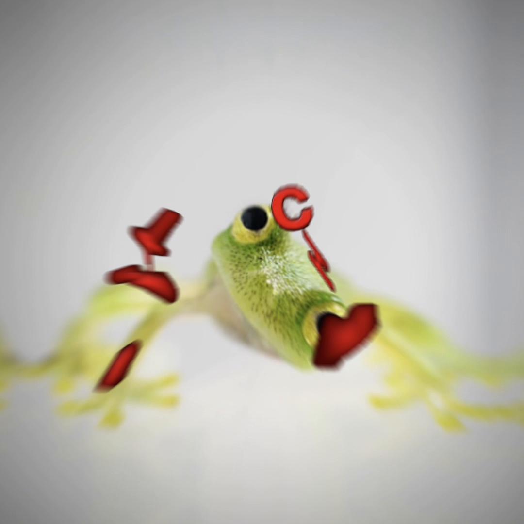@FroggyVR