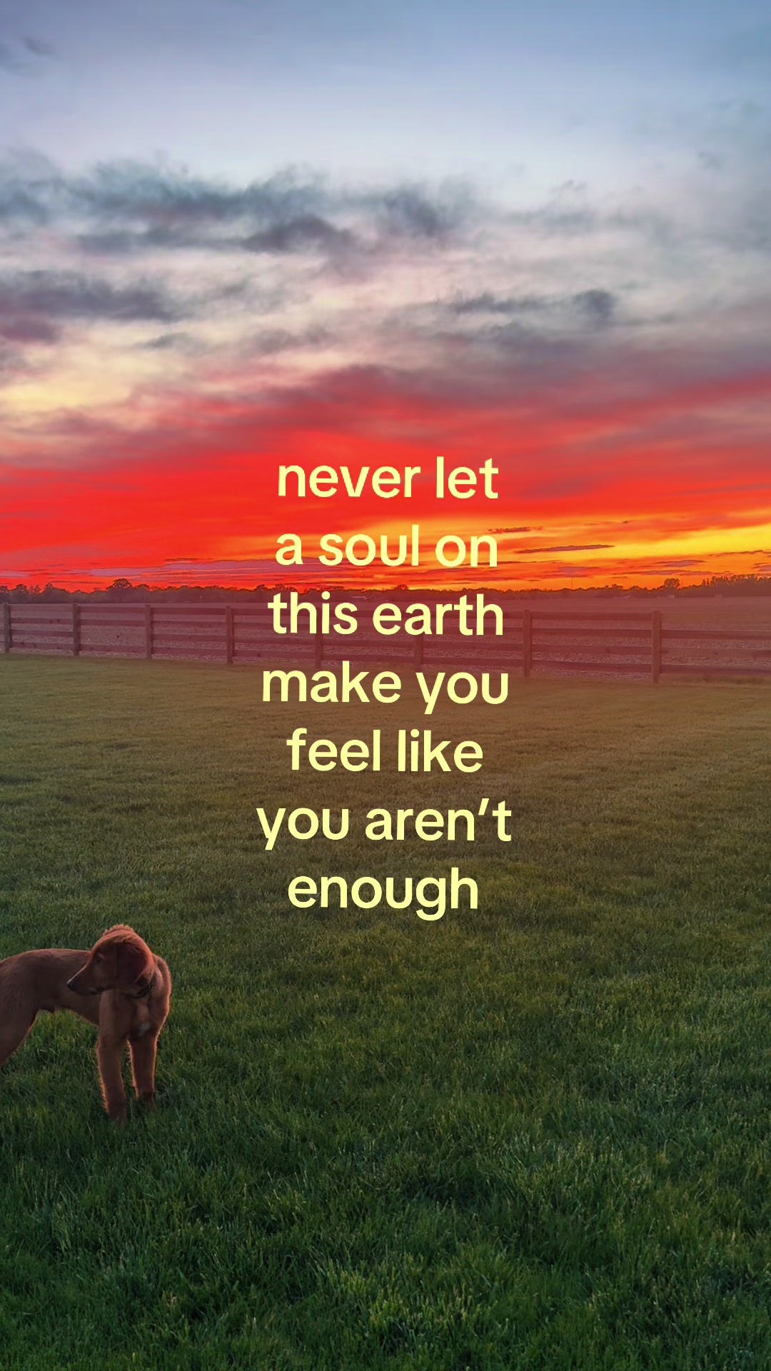 @quiet thoughts