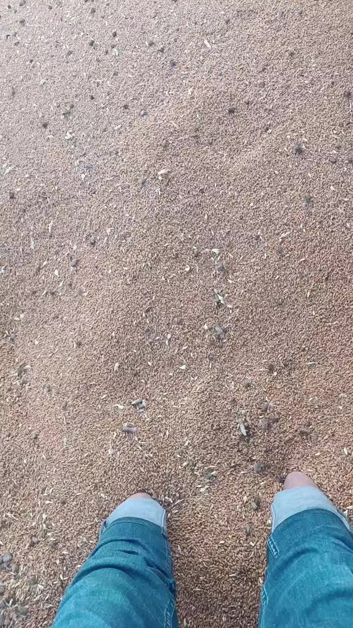 @Alican Dalgı&ccedil;