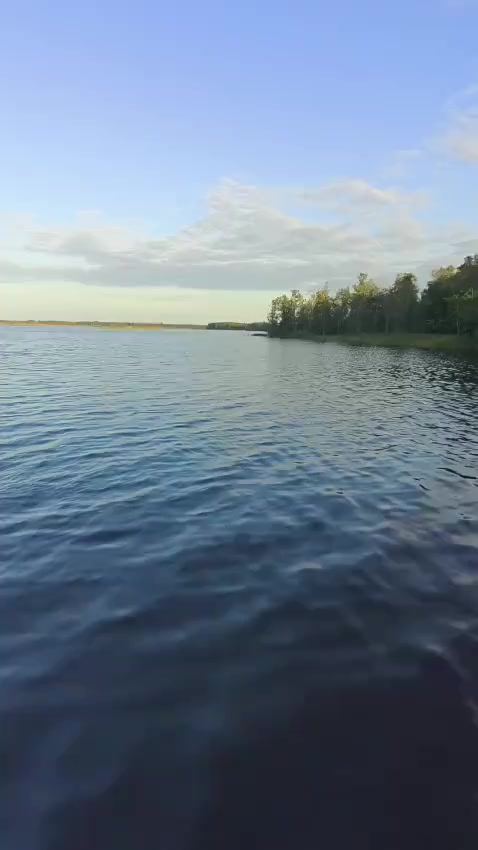 @natusik