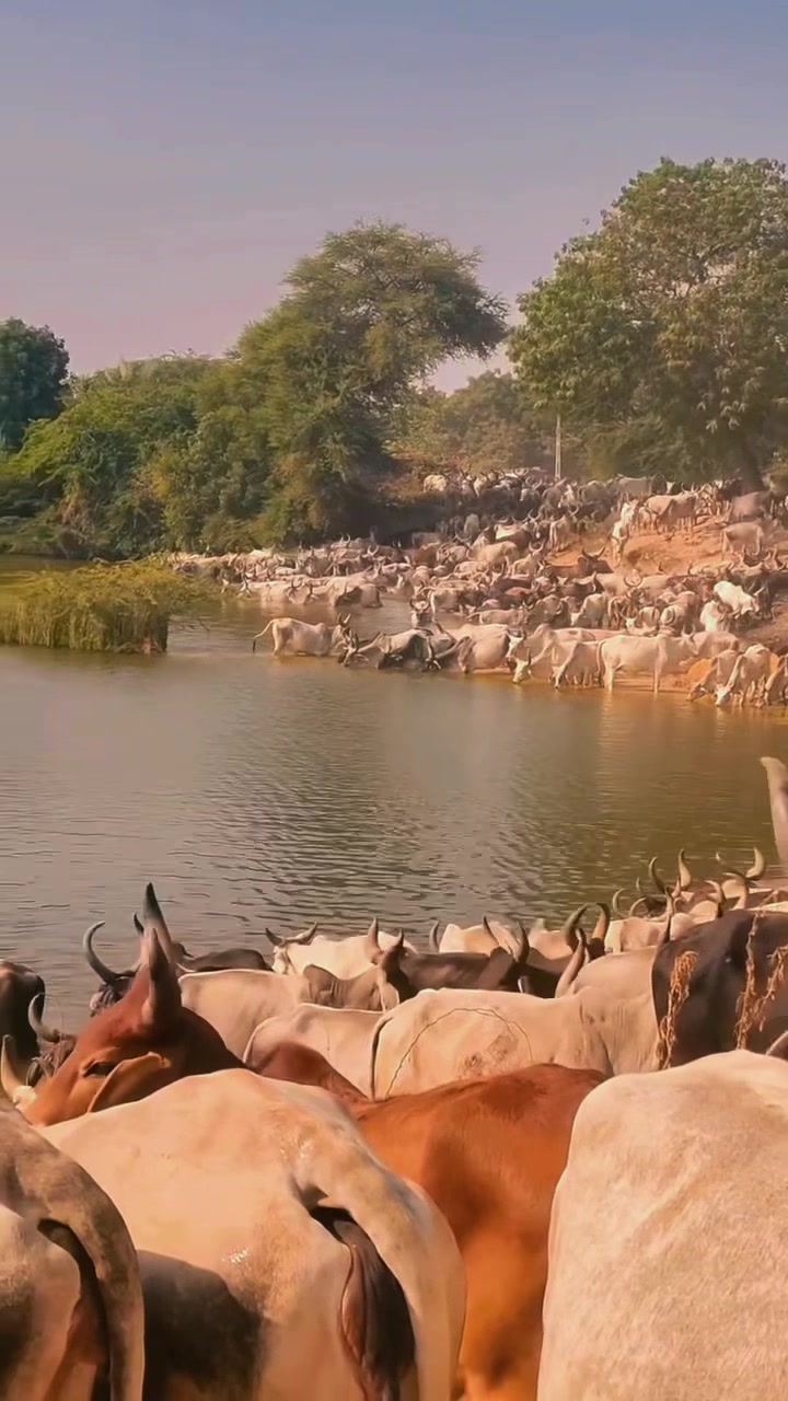 @𝐅𝐨𝐮𝐥𝐛&eacute;🐄