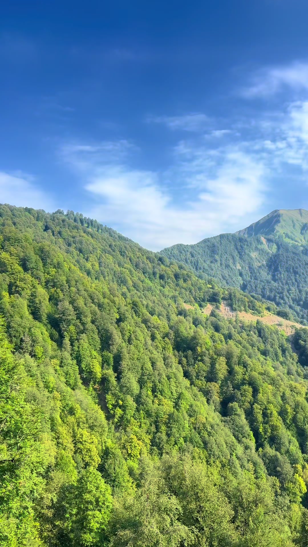 @𝑺.🇦🇿