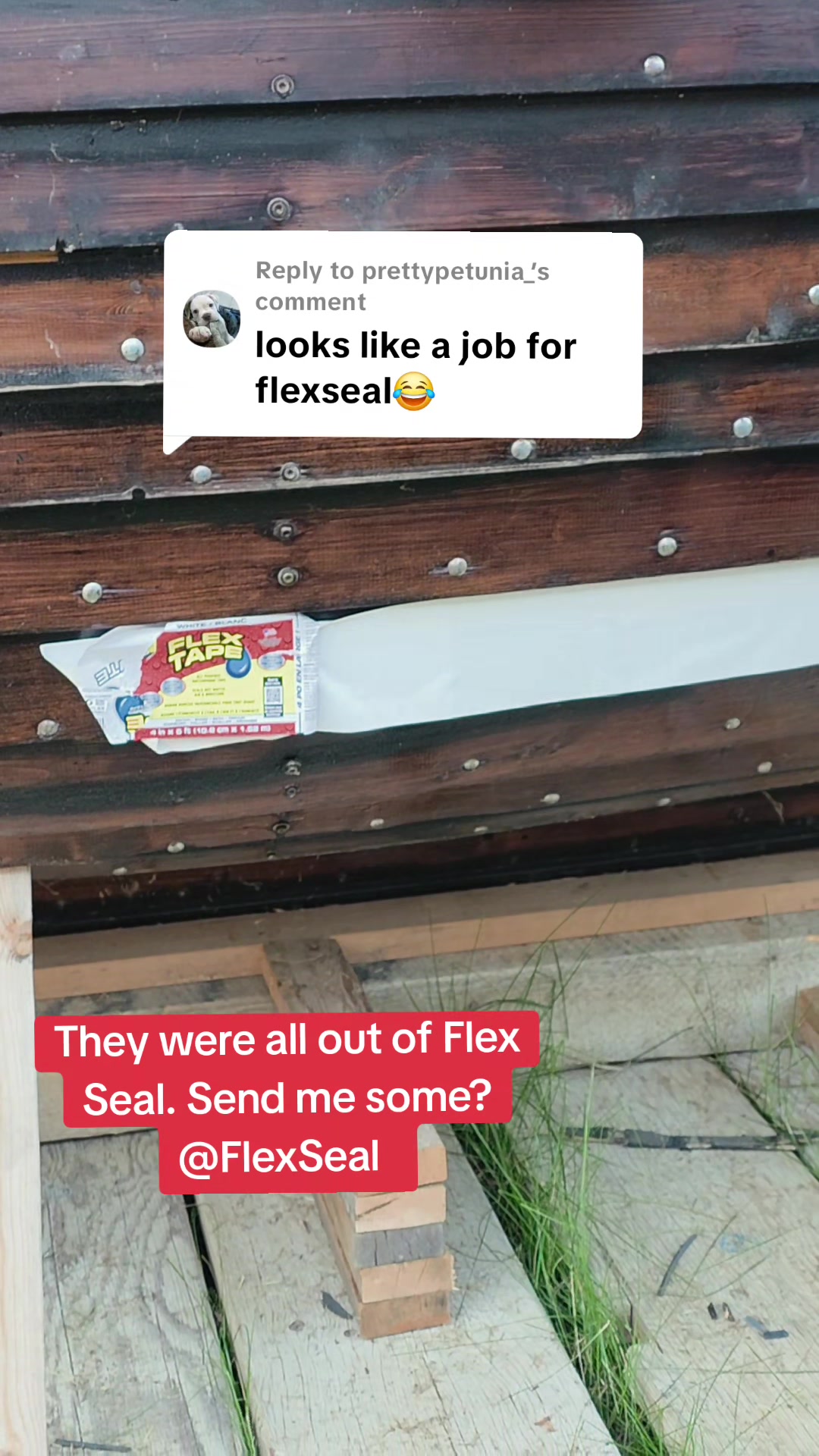 @TheLastSaskatchewanViking