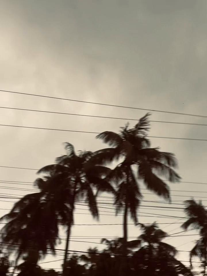 @♪~Ꭰꫝɪᴍᴏɴᴅ_