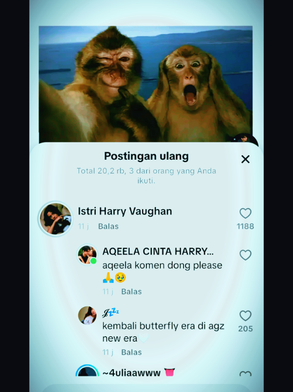 @AQEELA CINTA HARRY🌻💛