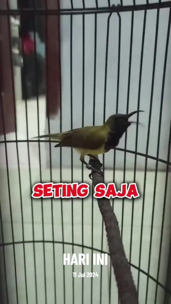 @totalbukpar