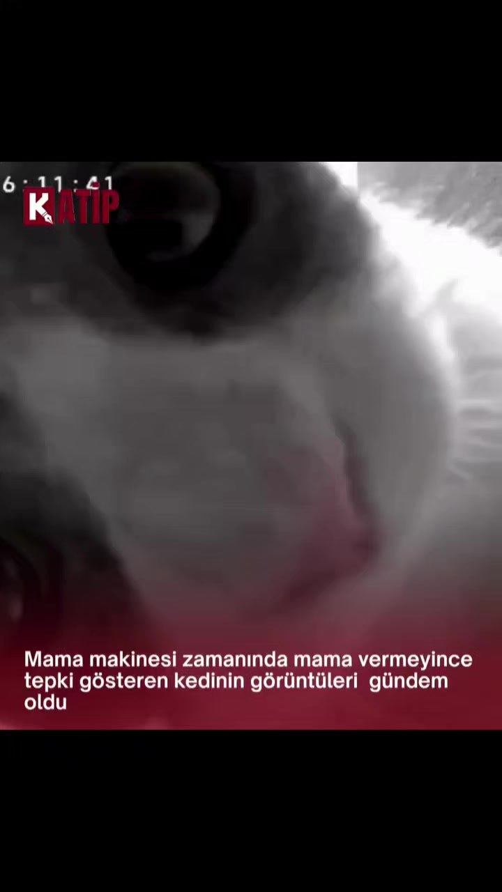 @Kader