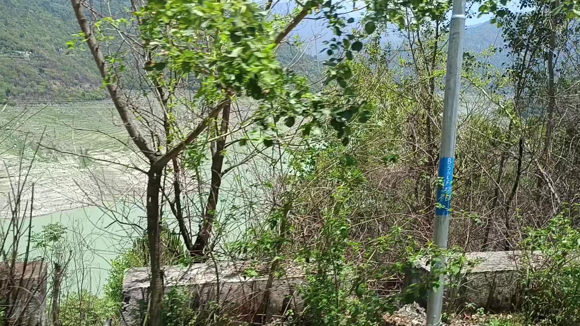 @𝓼𝓼𝓱𝓪𝓵𝓮𝓮𝓻𝓮