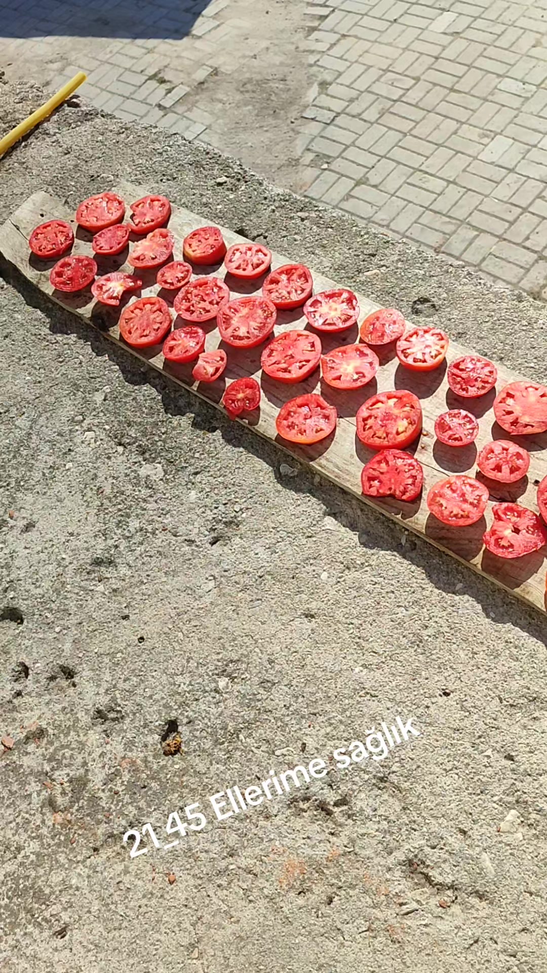 @Saliha Yavuz