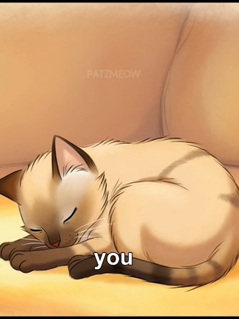 @patzmeow