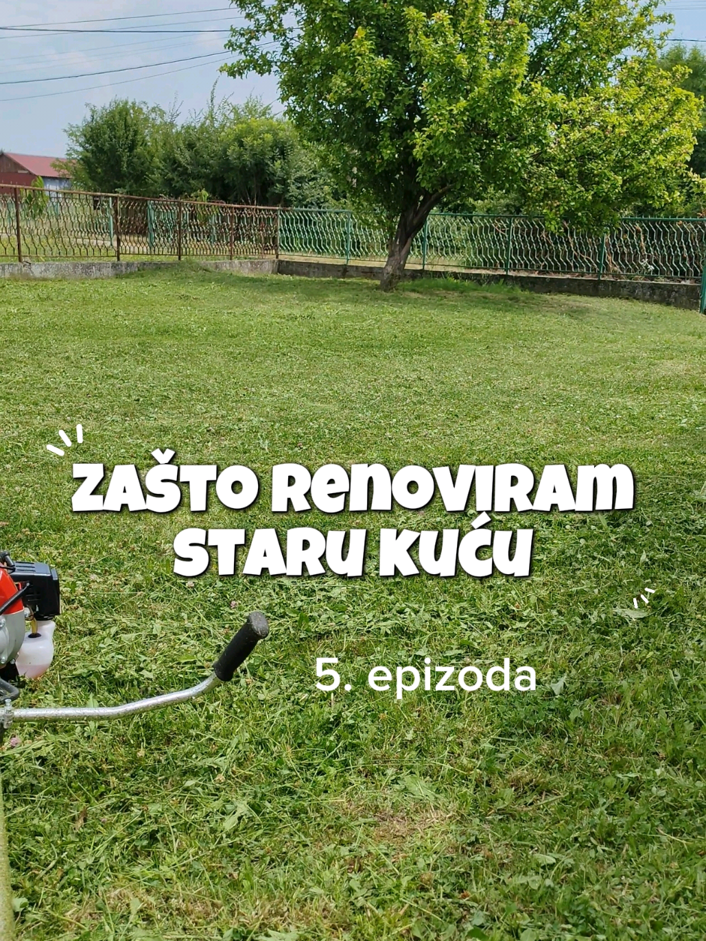 @Kristina Stanković