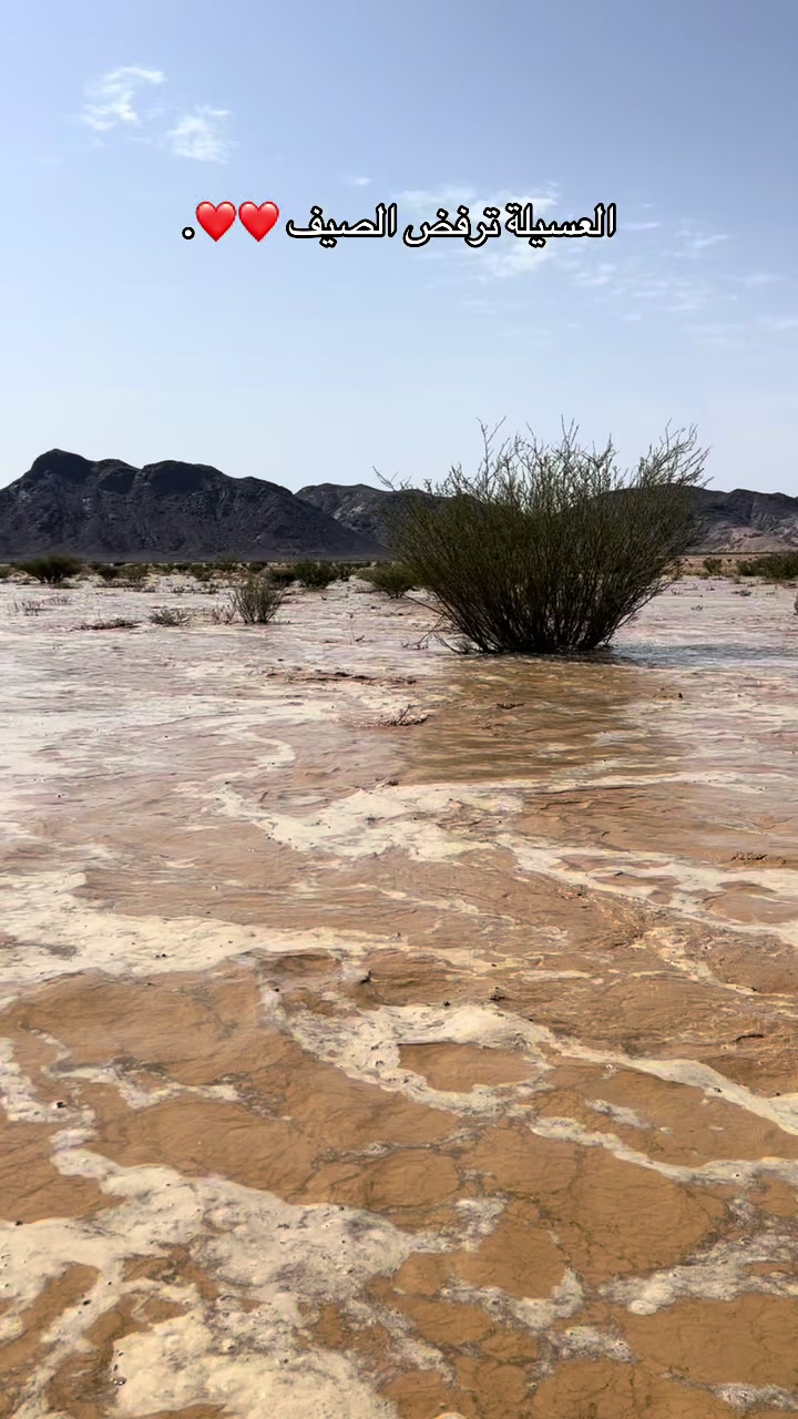 @شافي الشهيلي 🇸🇦.