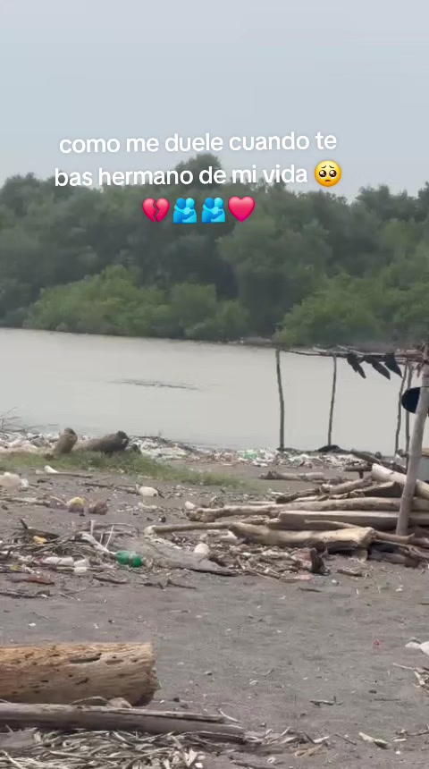 @Viviana Martinez