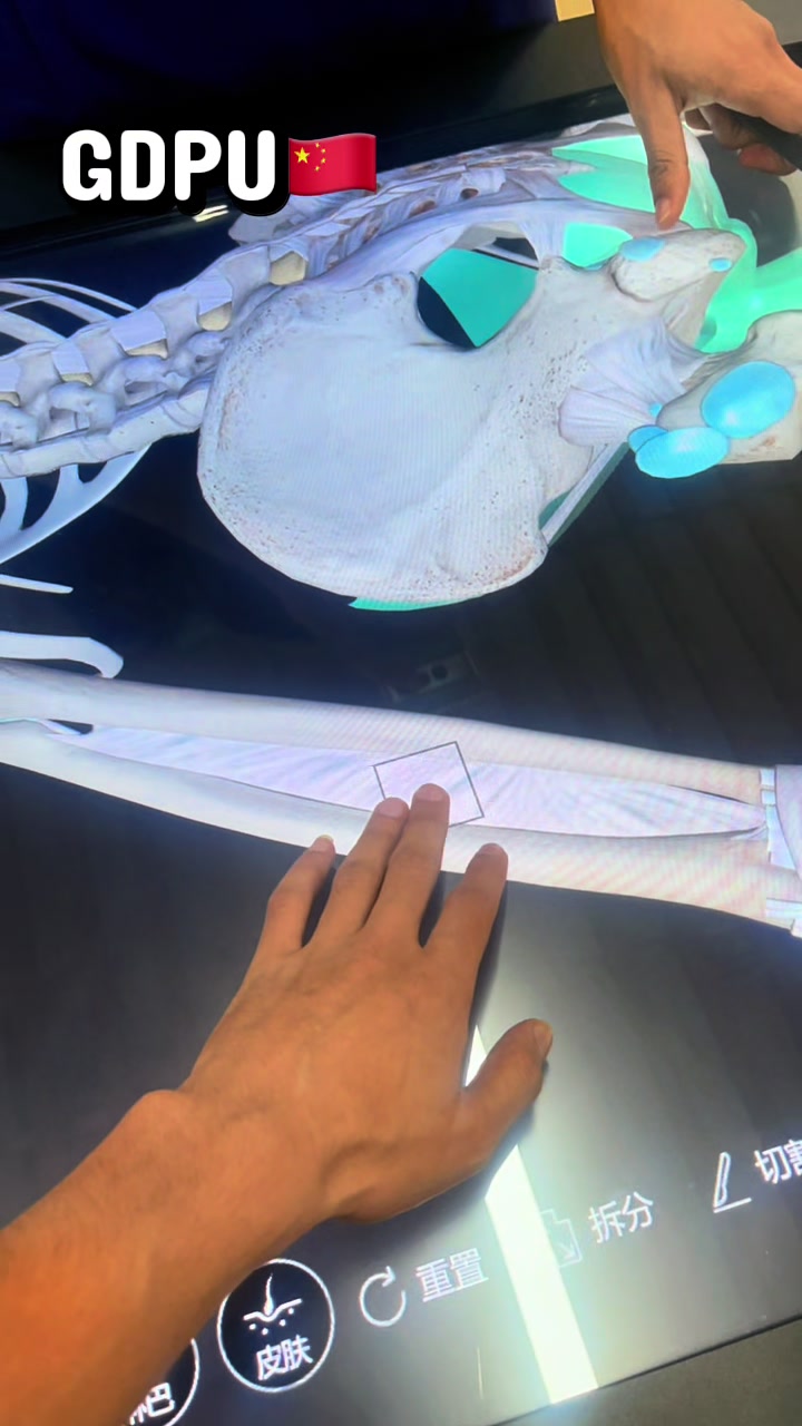 @GDPUVibes🇨🇳🇵🇰