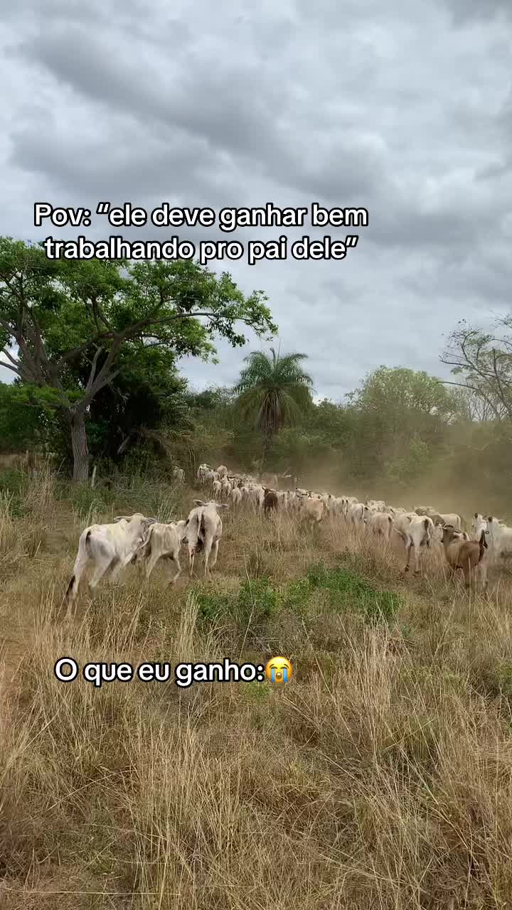 @Berdinazzi 🇧🇷