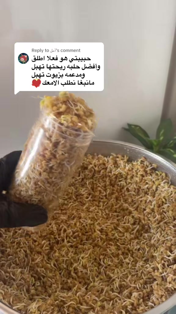 @رِقــة | RIQA