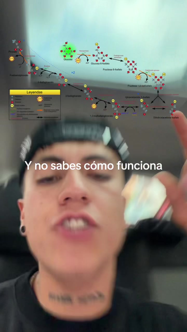 @ENDOBOY