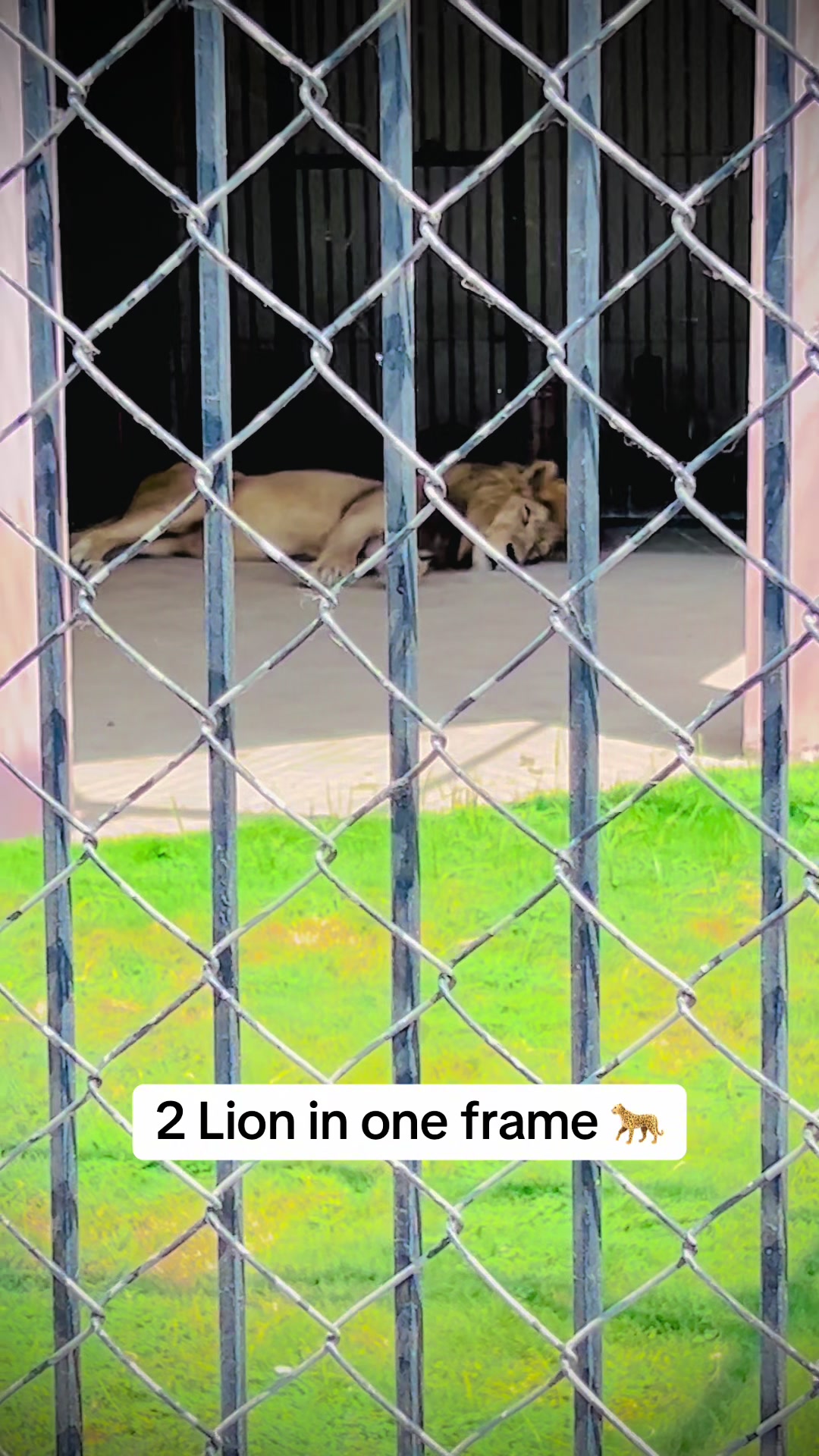 @شہزاد (جٹ) ہنجرا