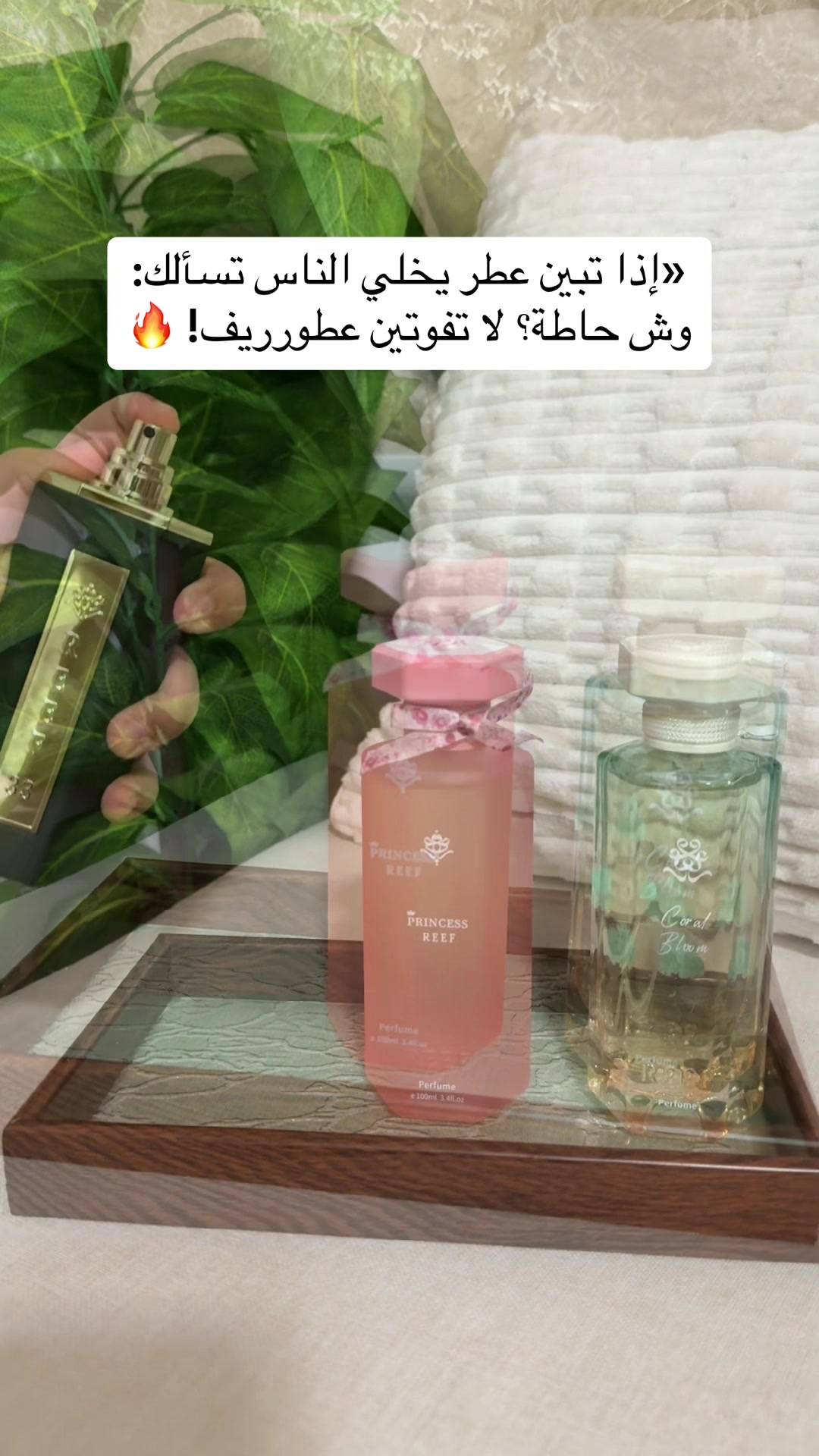 @ريم محمد مرخصة إعلامياً 📸