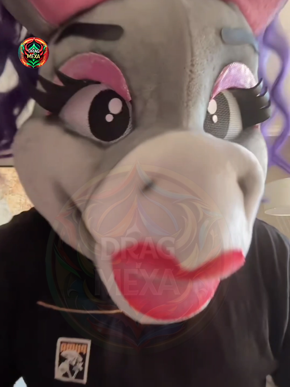 @DRAGMEXA