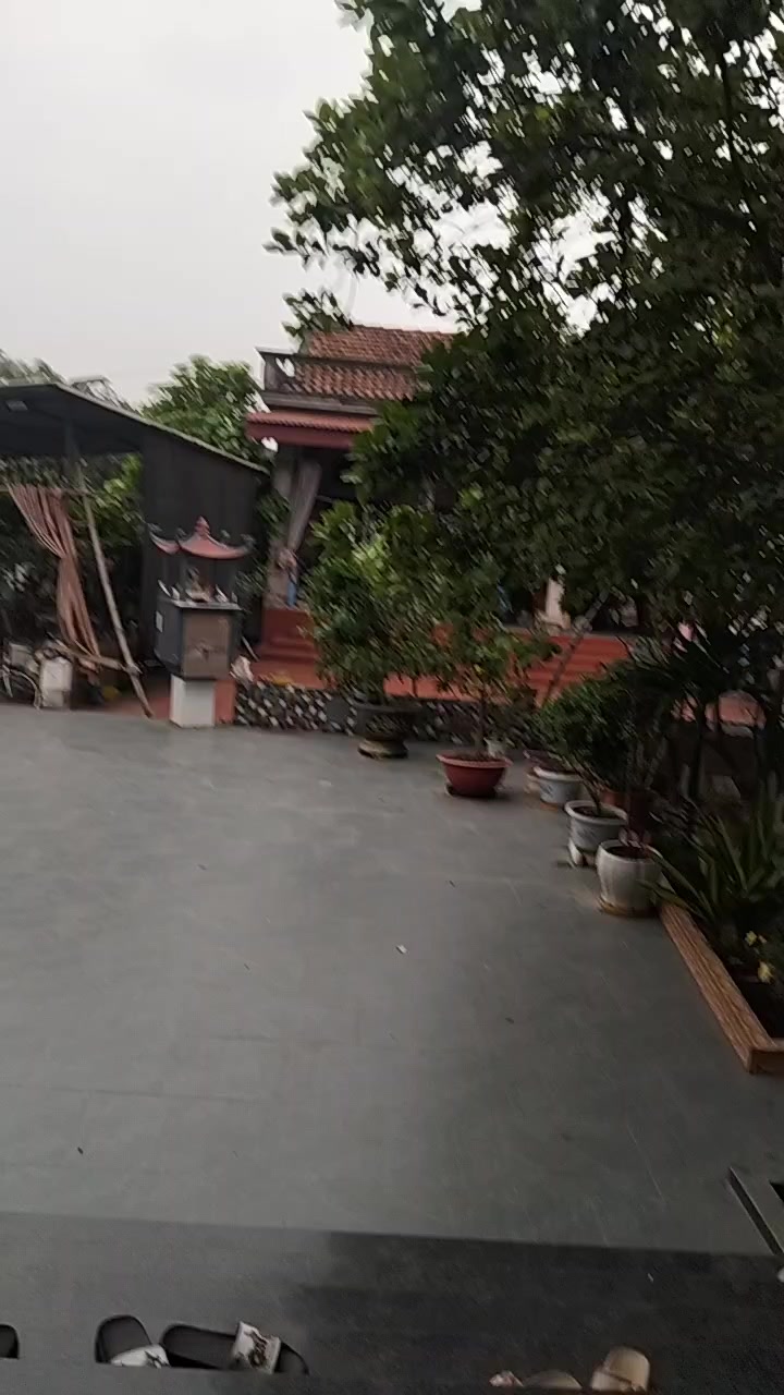 @trai qu&ecirc; đất tổ 19@.&hellip;.