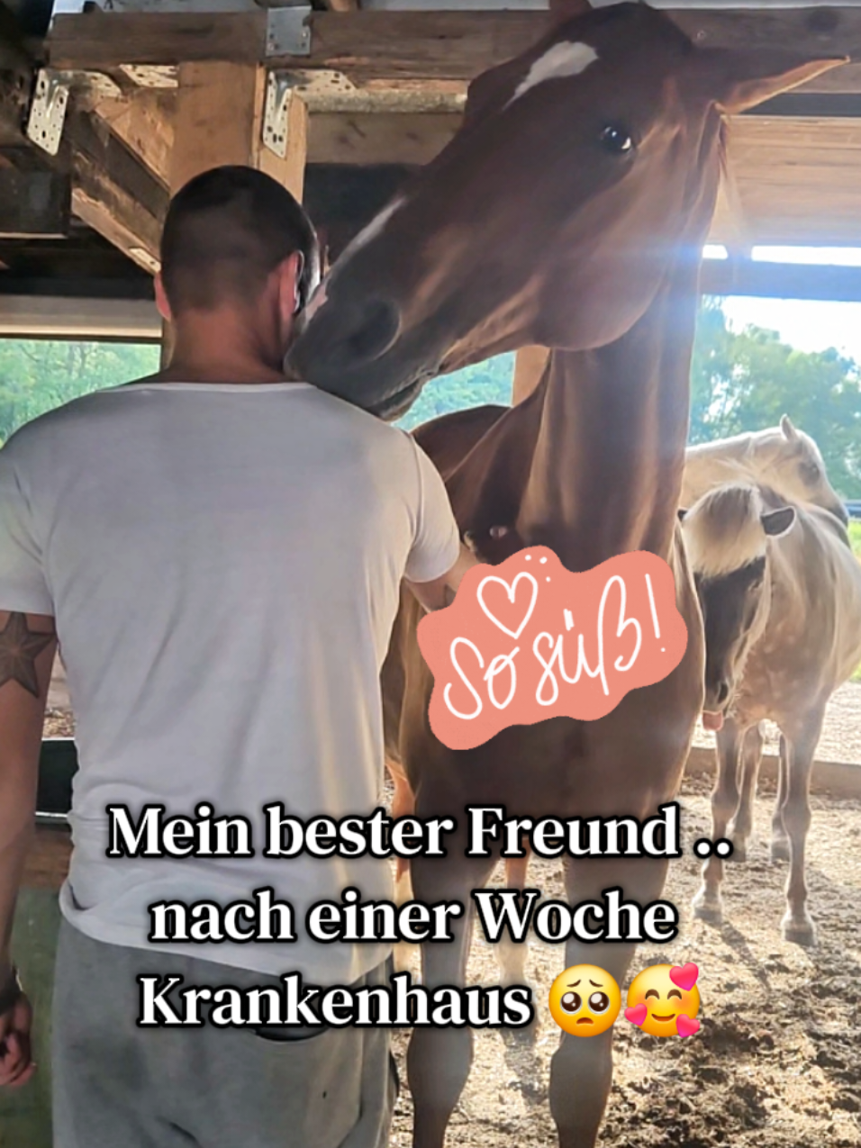 @Another_sunrise_farm