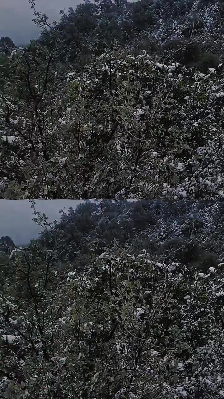 @Dülçê Vâlëntìn