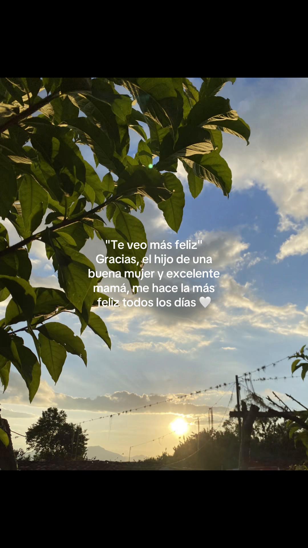 @hell.mz20