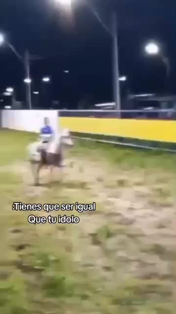 @JOSÉ DAVID