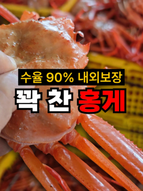 @싱싱헌터스