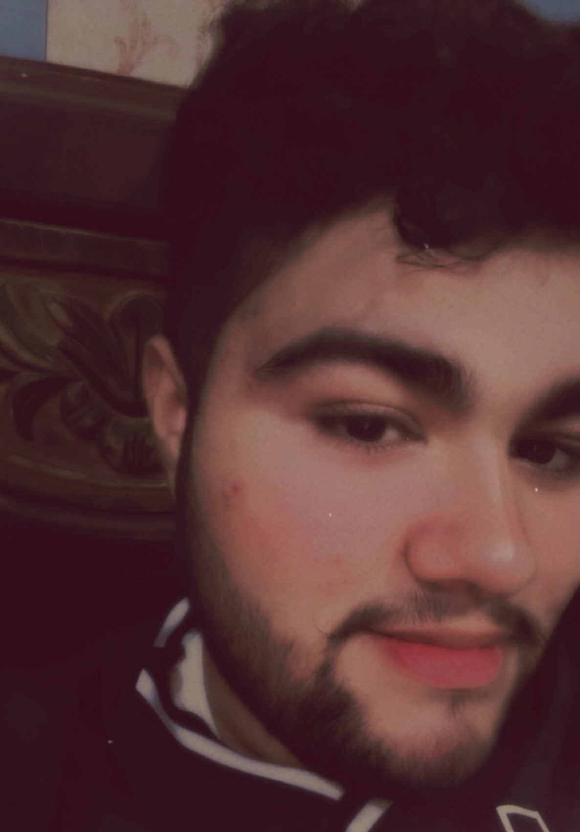 @syedaliabbashah110
