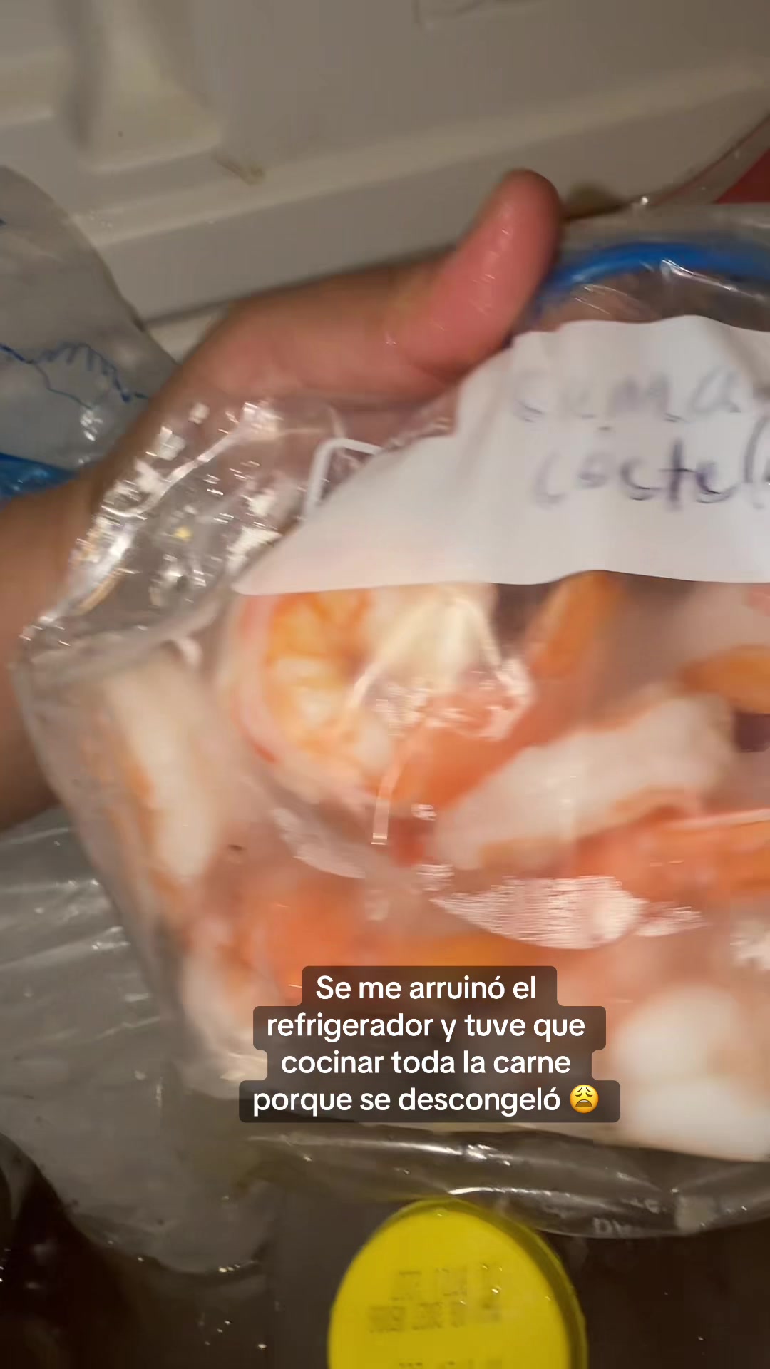@Leticia Lazo