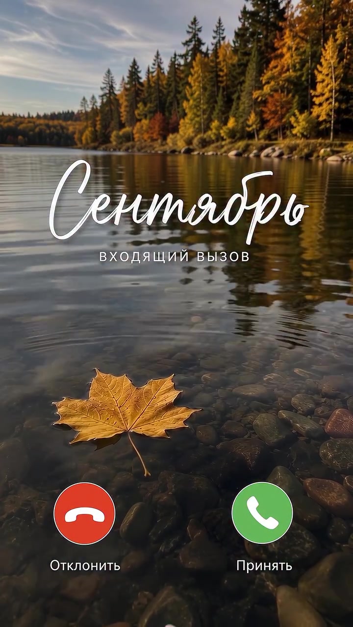 @Жужа и ее друзья